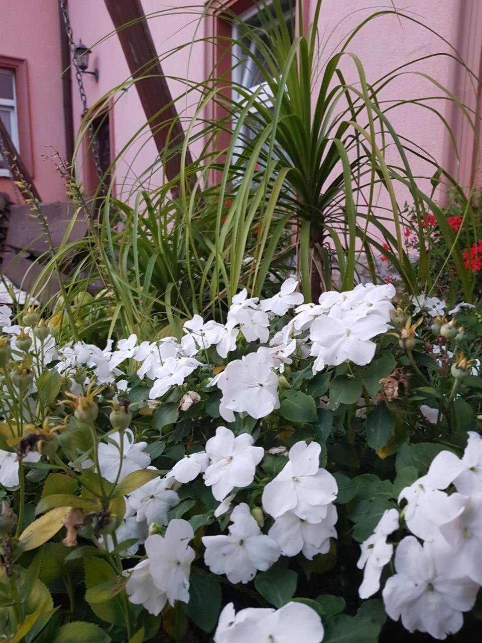 Zaulek Hotel 2*